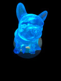 Grand Chien Turquoise
