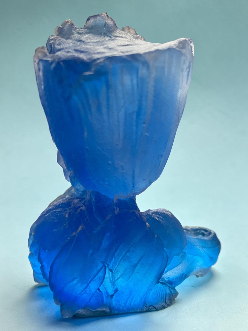 Groot Bleu Lumineux