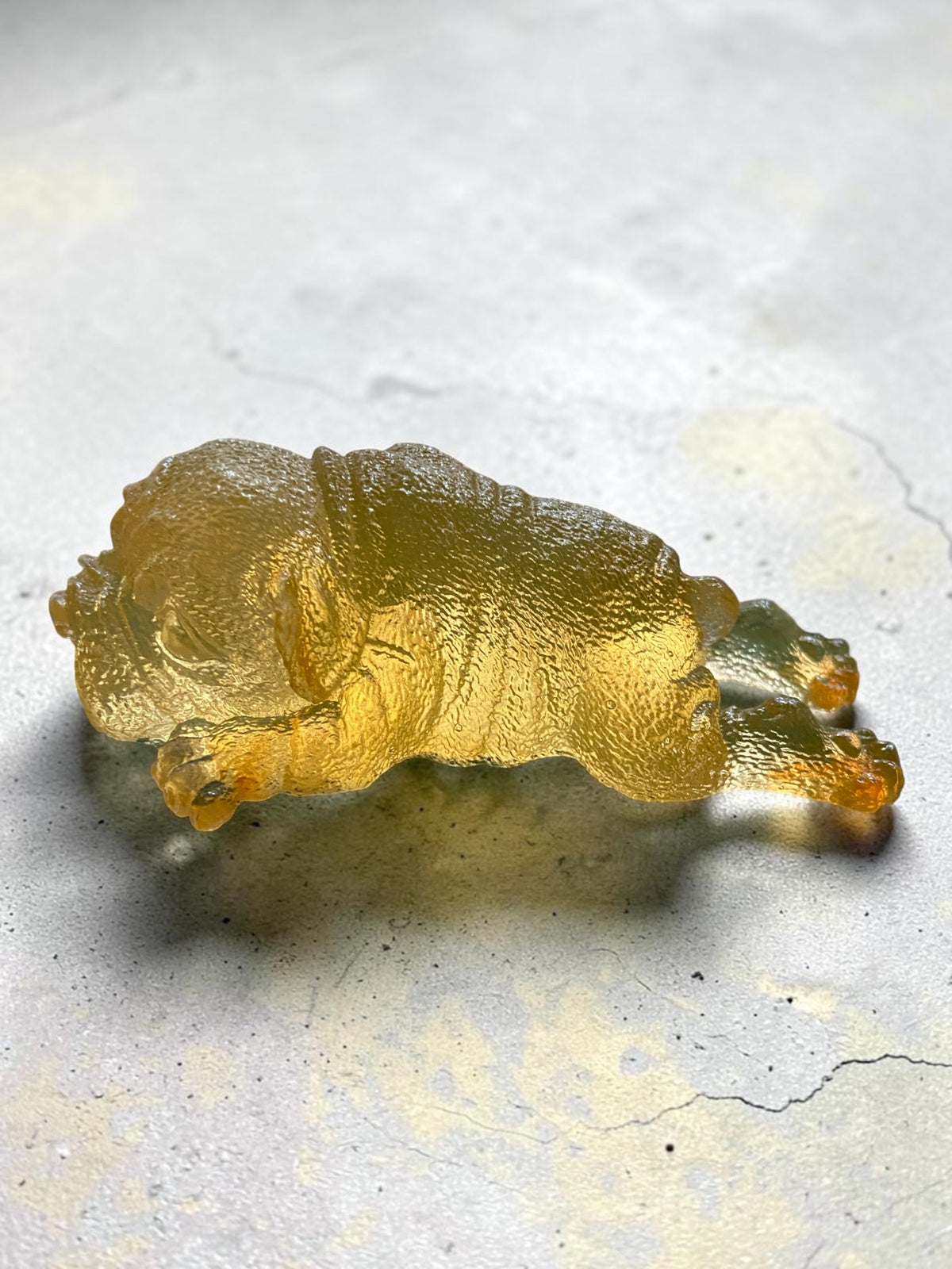 Chien Allongé Jaune
