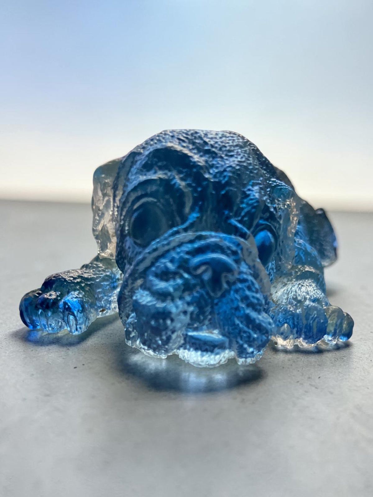Chien Allongé Bleu