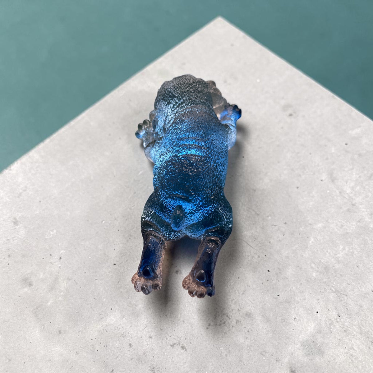 Chien Allongé Bleu