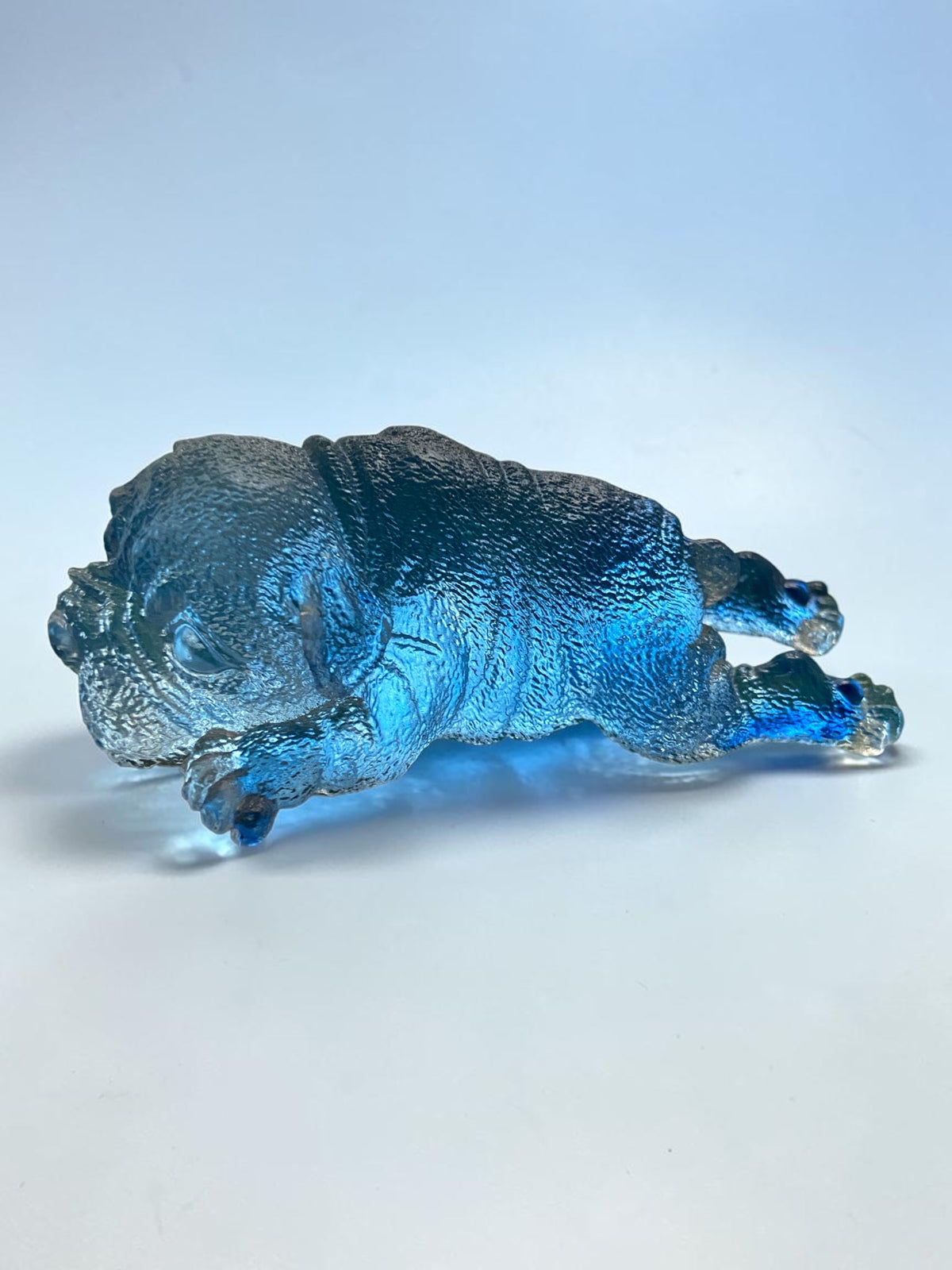Chien Allongé Bleu
