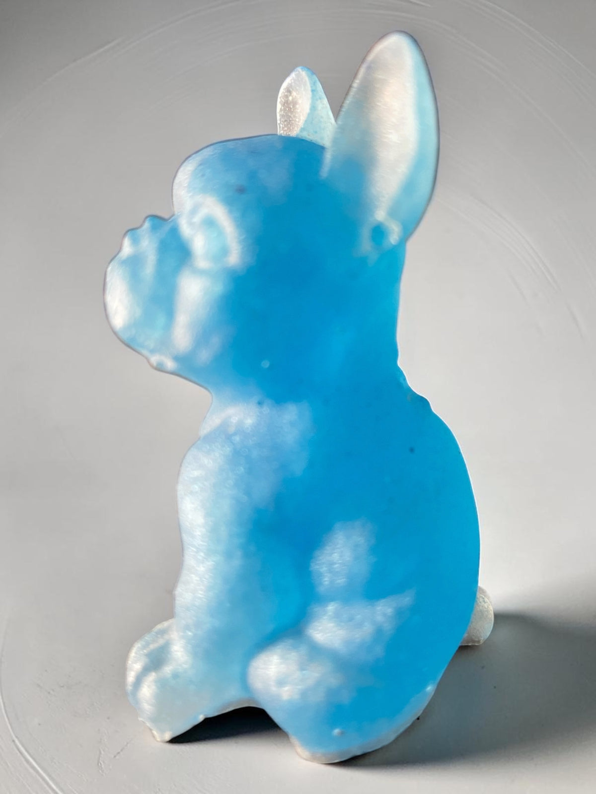 Chien Assis Bleu