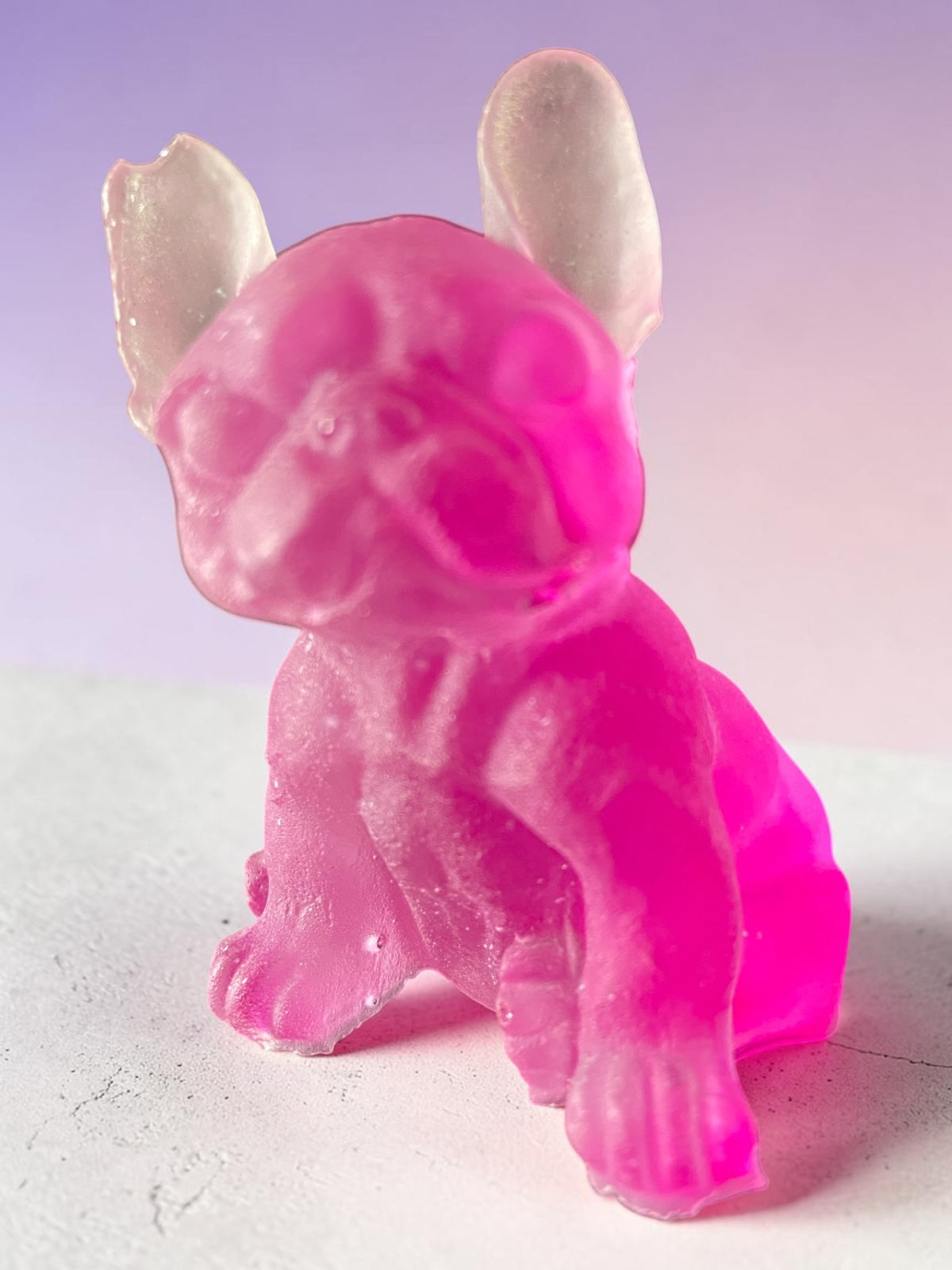 Chien Assis Rose