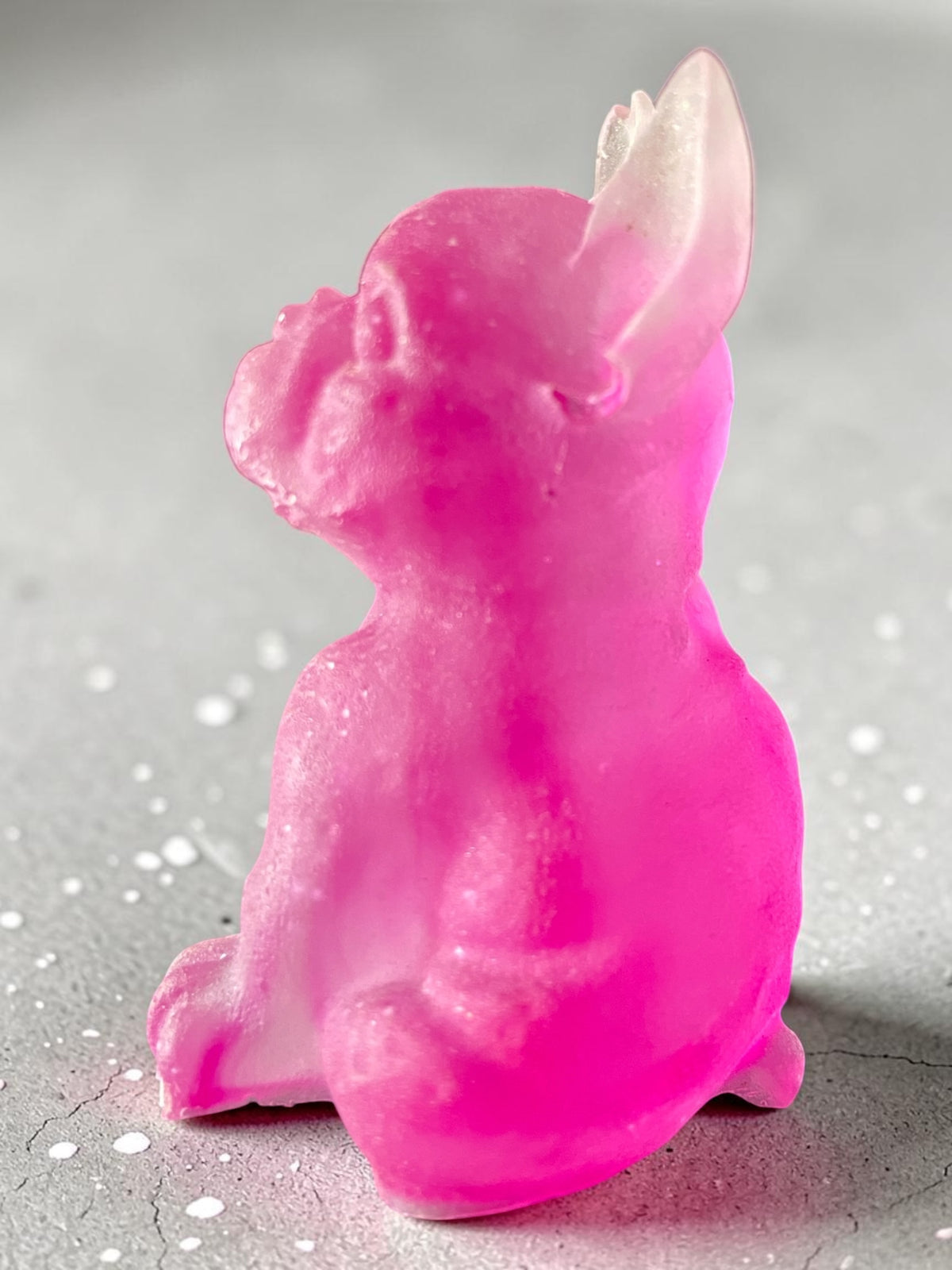 Chien Assis Rose