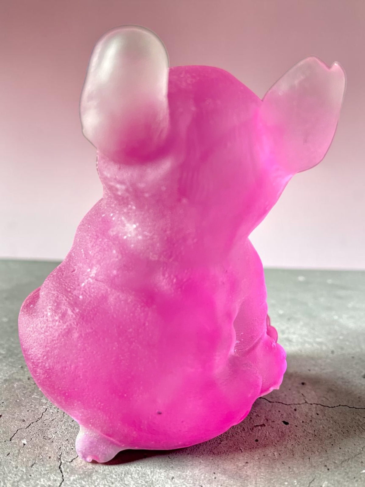 Chien Assis Rose