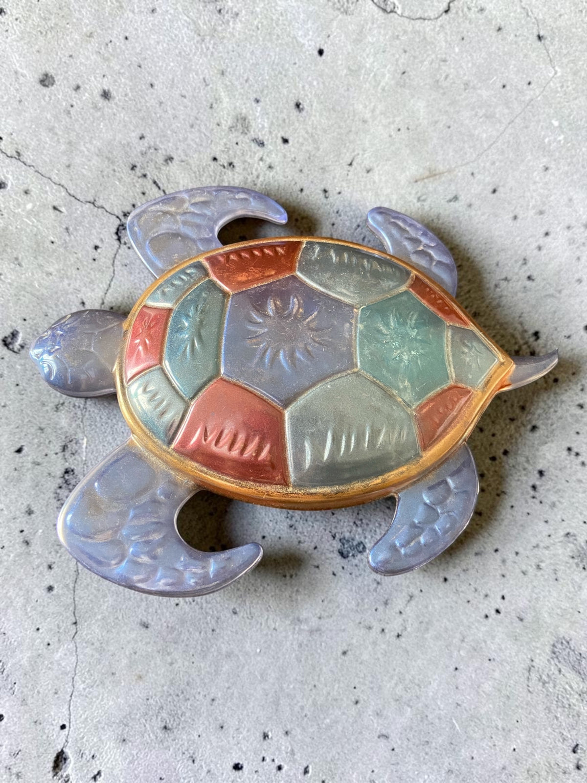Grande Tortue Bleue et Marron