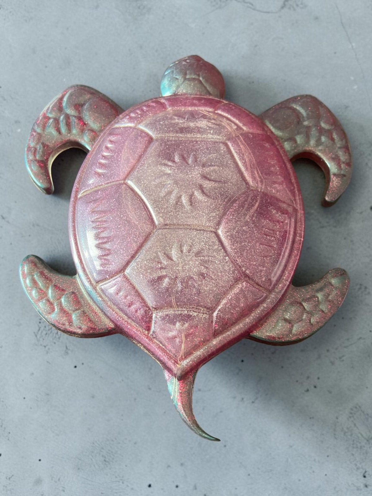 Grande Tortue Violette